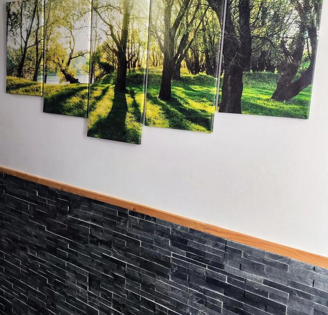 Appartement Le Cypres En Centre Ville Bourg-Saint-Maurice Frankrijk